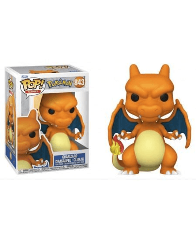 Charizard Pokemon 843